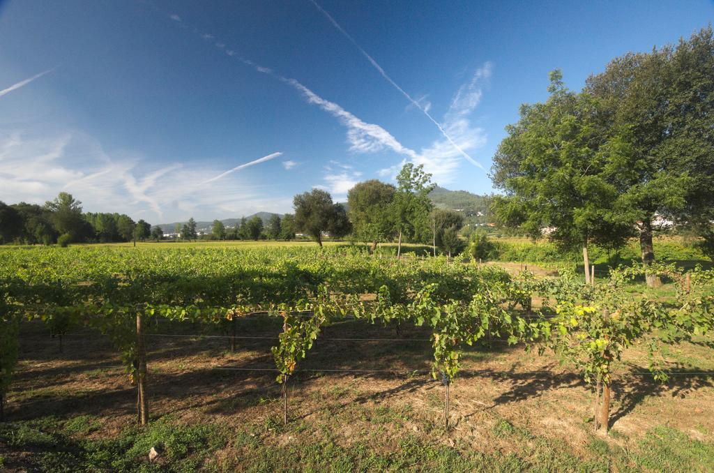 1720 Quinta Da Cancela - Winery & Farmhouse Guimarães Екстериор снимка