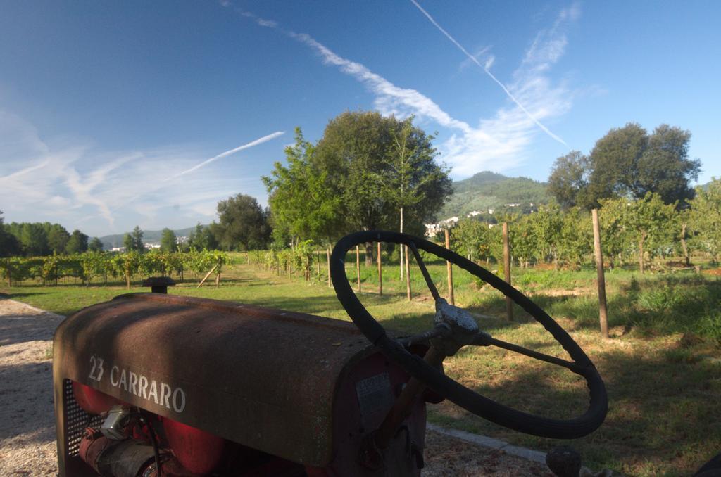 1720 Quinta Da Cancela - Winery & Farmhouse Guimarães Екстериор снимка